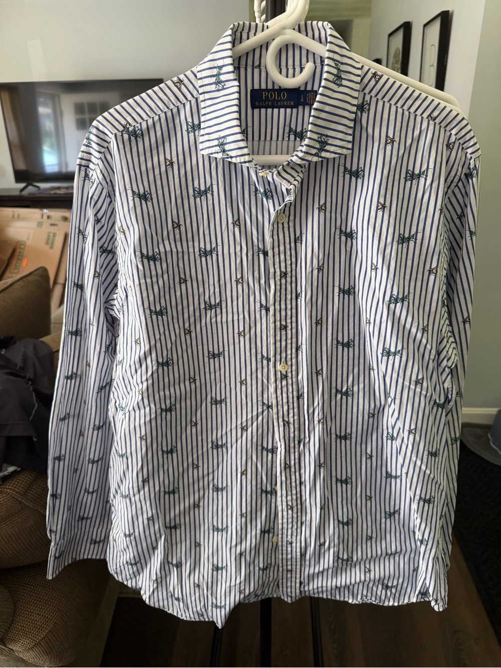 Ralph Lauren Blue and White Striped Button-Down Shirt with Little Bugs
